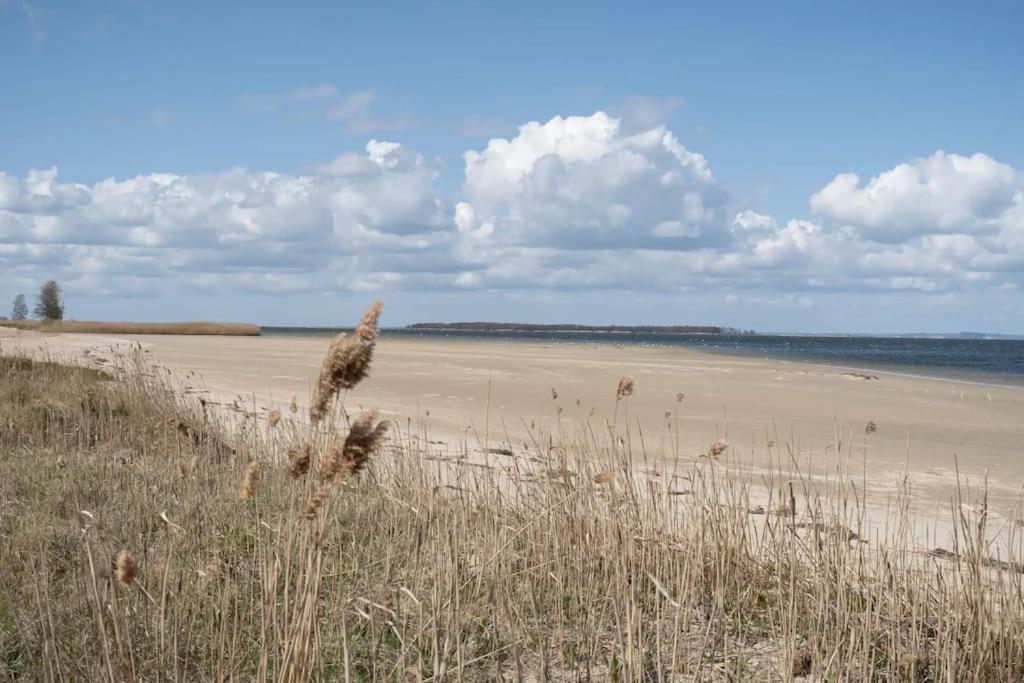 Ferienhaus Koserow, Usedom, 8 Pers., Hunde Erlaubt Exteriér fotografie
