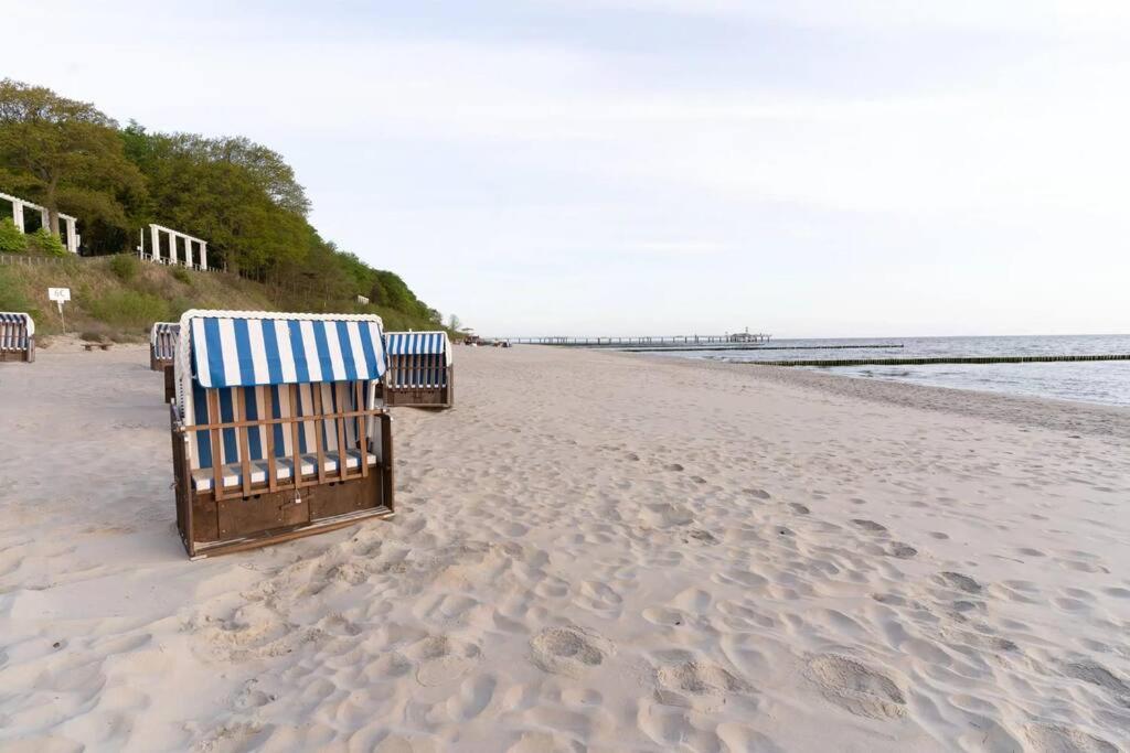Ferienhaus Koserow, Usedom, 8 Pers., Hunde Erlaubt Exteriér fotografie